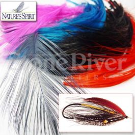 Royal Sissi 20 feathers genuine mix natural color Whiting fly