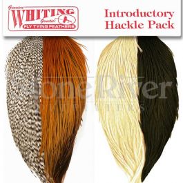 Whiting Introductory Hackle Pack