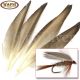 Wapsi Natural Duck Wing Quills