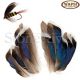 McGinty Quill Mallard Feathers (12pk)