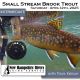 Presentation - Small Stream Brook Trout 04-12-25