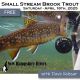 Presentation - Small Stream Brook Trout 04-19-25